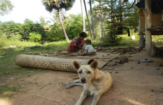 Family Siem Reap